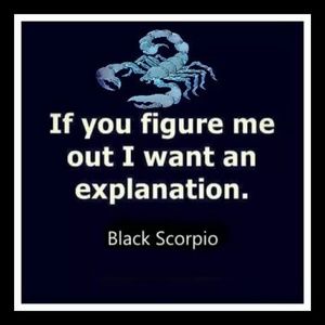 Meet your Posher, Dian